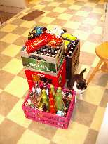 Click to see Geburtstagsparty 2003 - 1003.jpg